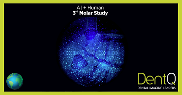 (Third) 3rd Molar Study – AI + Human Reports - DentQ