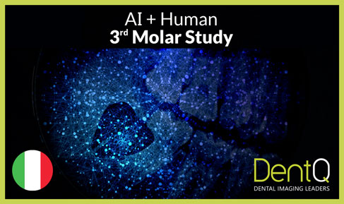 3rd Molar Study – AI + Human Reports